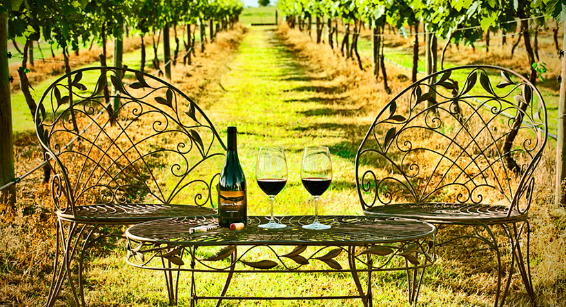 Whispering Brook wines and table setting in the vines